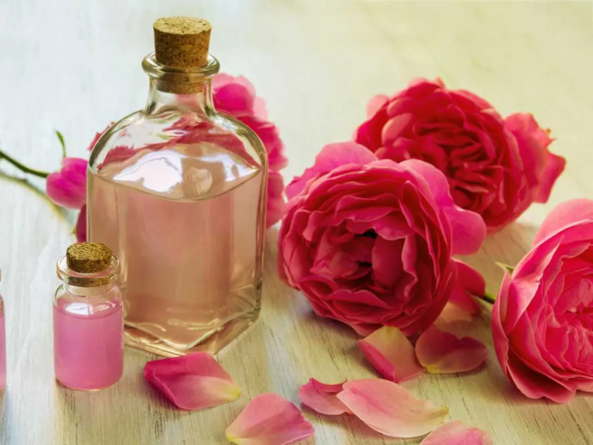 روغن گل رز - بهترین روغن برای موهای نازک و کم پشت